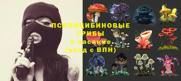 винт Алексеевка